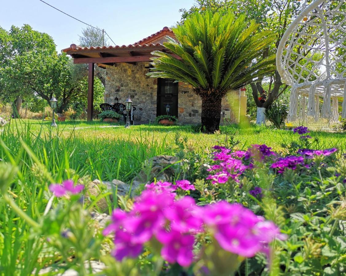 Patras Stonehouse With Large Yard - Πέτρινο Σπίτι Με Αυλή Villa Paralia  Exterior photo